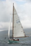 astrophel 276 whyw23 sun 750 0117